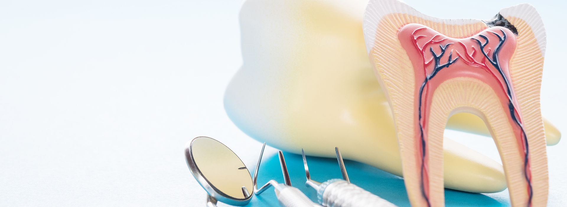 Scott E. Learn, DMD | Implant Restorations, Preventative Program and Oral Cancer Screening